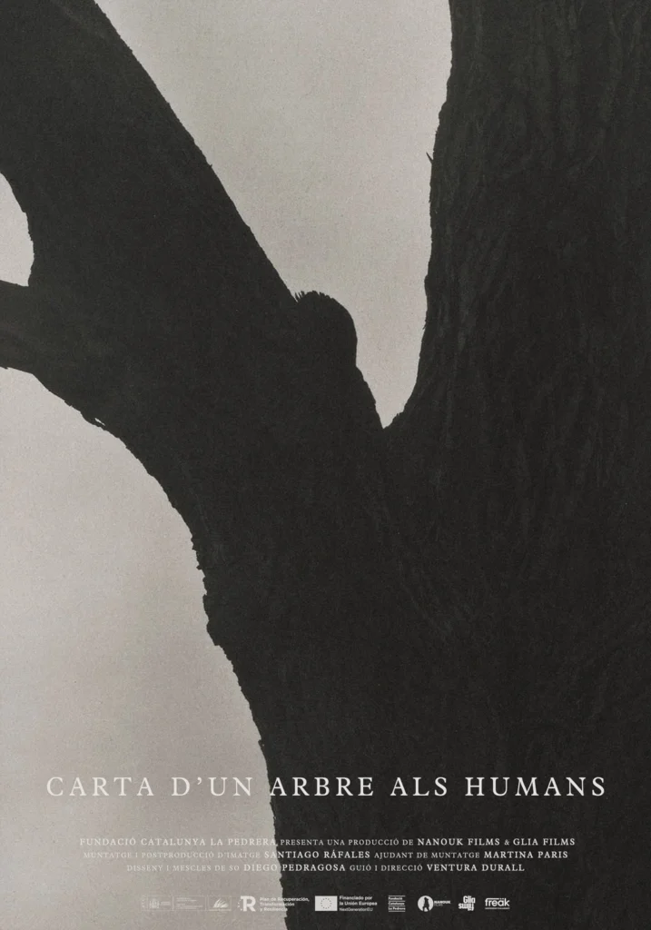 Cartell Carta d’un arbre als humans