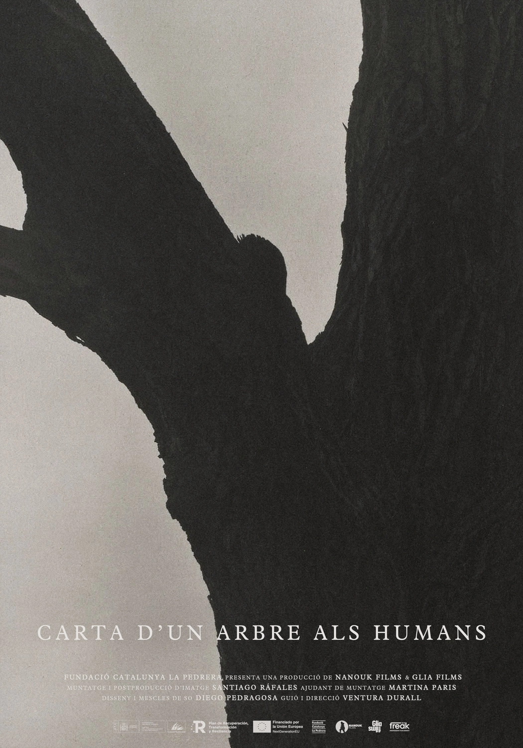 Cartell Carta d’un arbre als humans