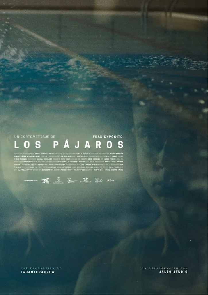 poster LOS PÁJAROS