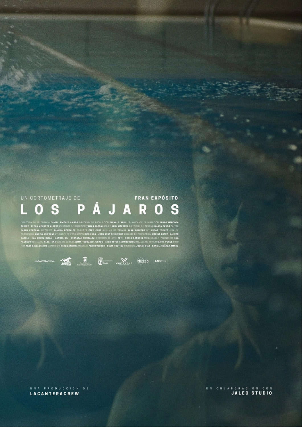 poster LOS PÁJAROS